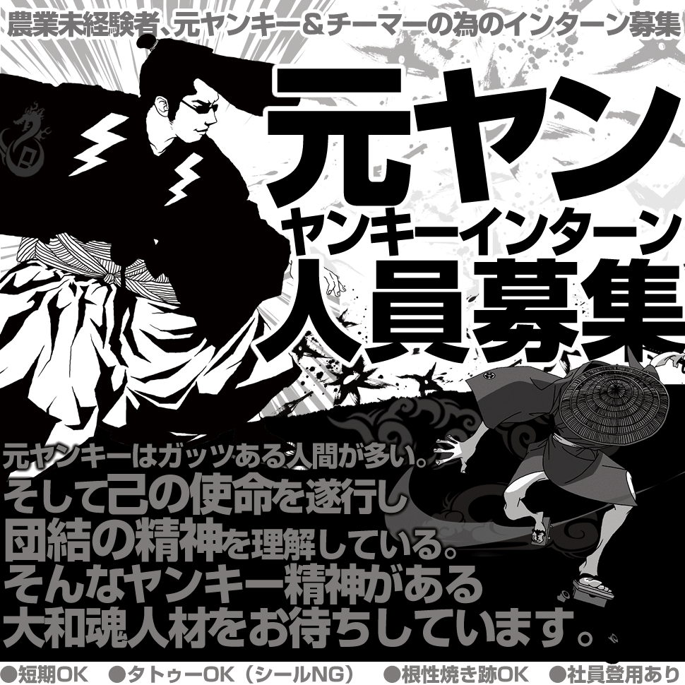 元ヤンキーのためのインターン採用 元不良人員募集 ベジフルファーム